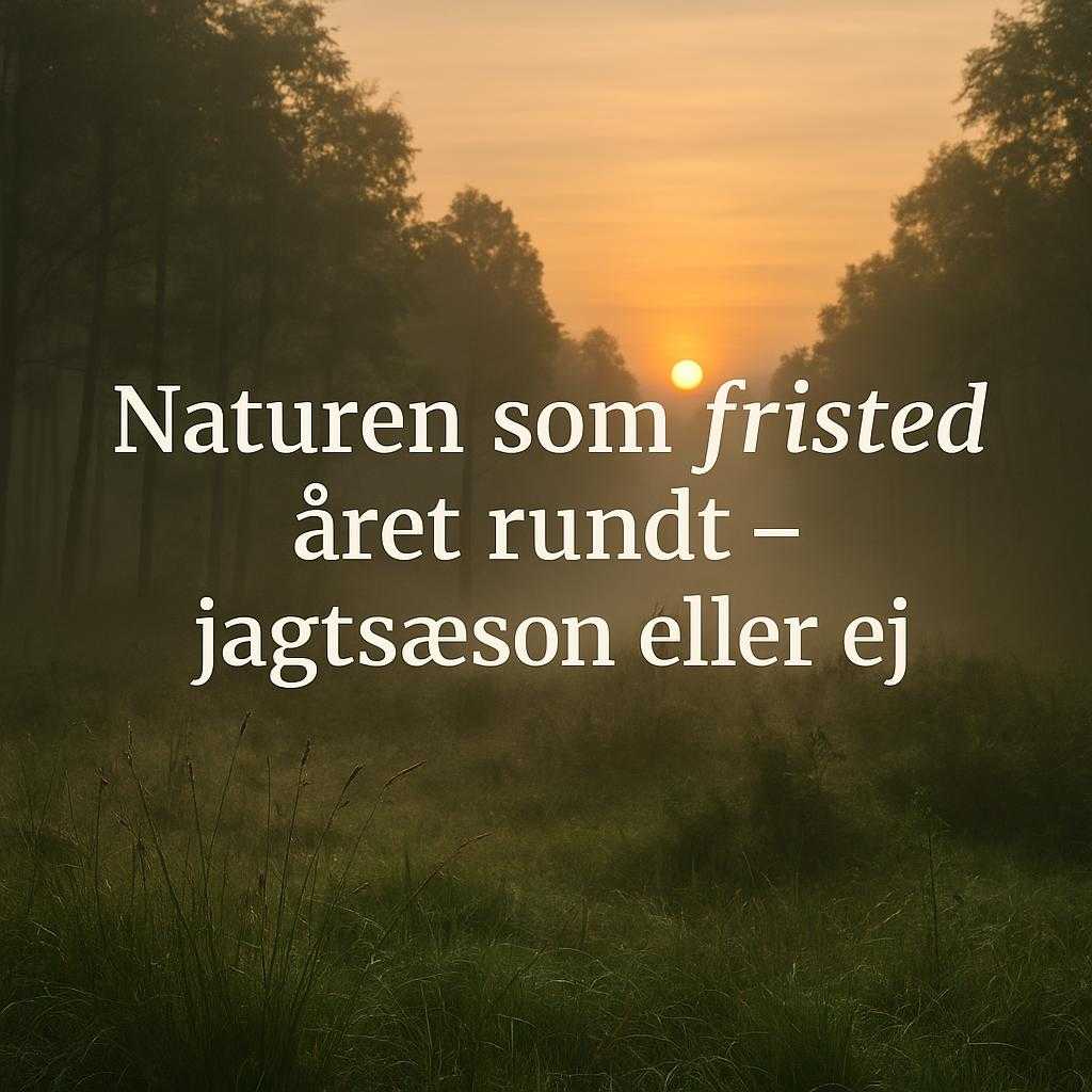 Naturen som fristed året rundt – jagtsæson eller ej